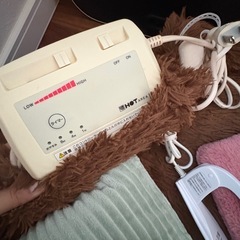 ホットカーペット　湯たんぽ　加湿器セットの画像