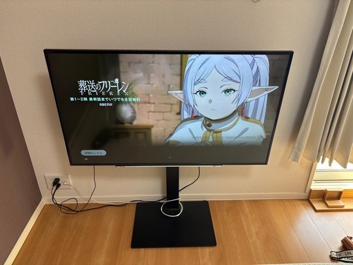 49インチ　テレビ　REGZA