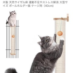 猫用品まとめの画像