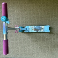 アナ雪　キックボードの画像