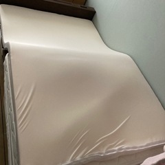 トゥルースリーパー セミダブル マットレス 低反発
　の画像