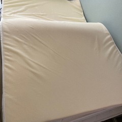 トゥルースリーパー セミダブル マットレス 低反発
　の画像