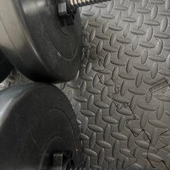 [取引者様決定］ダンベル20kg×2セットの画像