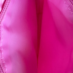 プリキュアバッグの画像