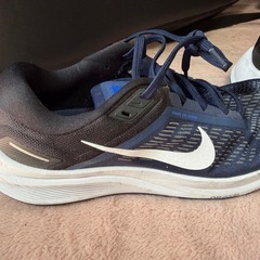 NIKE ランニングシューズの画像