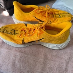 NIKE ランニングシューズの画像