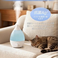#加湿器#小型#卓上#美品#超音波式加湿機#アロマ対応#手入れしやすい#静音#乾燥防止 の画像