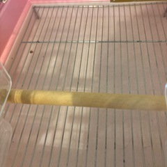 バードゲージの画像