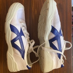 体育館シューズ　中学の画像