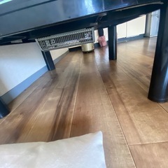 こたつ謙机の画像