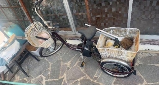 電動アシスト3輪自転車