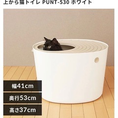 猫トイレ PUNT-530 ホワイトの画像