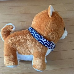 大きい芝犬くんの画像