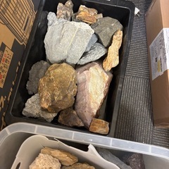 水槽用　石まとめての画像