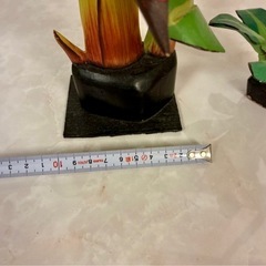 バナナの木置物の画像