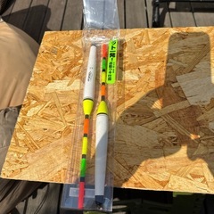 エギ、タイラバ、タコの画像