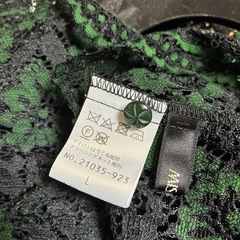 レースのオーバーブラウス　Lサイズの画像