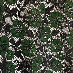 レースのオーバーブラウス　Lサイズの画像