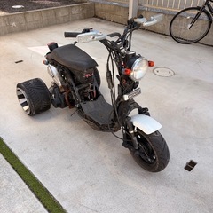 (不動)ジャイロ     の画像