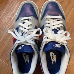 🉐ナイキ NIKE DUNK LOW Sumba ダンクロー スニーカー 27cm メンズ の画像