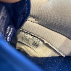 🉐ナイキ NIKE DUNK LOW Sumba ダンクロー スニーカー 27cm メンズ の画像