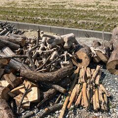 131：薪用　伐採木・色々・薪木などに（切株・丸太）お値段・量はご相談くださいの画像