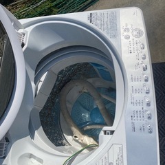 【2019年製】縦型洗濯機  東芝　AW-6G6　の画像