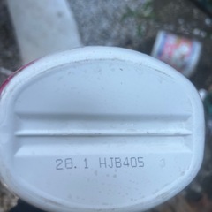 お花野菜の害虫退治
の画像