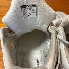 エゴザルバッシュ26.5の画像