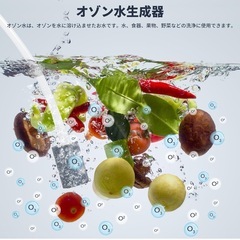 オゾン水発生器の画像