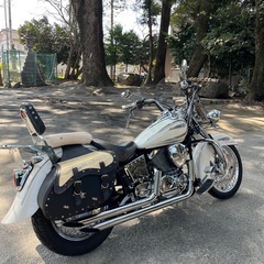ドラッグスター250 vg05jの画像