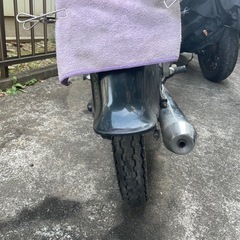 バーディ50の画像