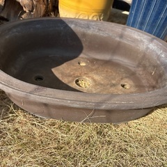 植木鉢色々の画像