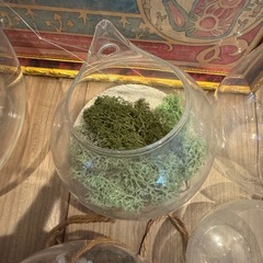 ガラス　容器　いろいろの画像