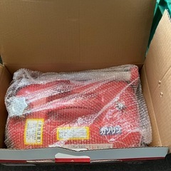 美品  携行缶の画像