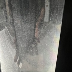 ゾウリムシ  ②の画像