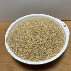 令和7年産コシヒカリ玄米１０kg 恐竜の街福井県勝山市産
の画像