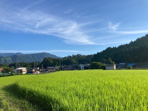令和7年産コシヒカリ玄米１０kg 恐竜の街福井県勝山市産