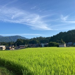 令和7年産コシヒカリ玄米１０kg 恐竜の街福井県勝山市産
の画像