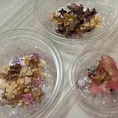 ハンドメイド用ドライフラワーの画像