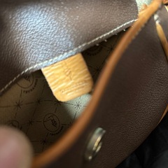 ビンテージ トラサルディミニポシェットの画像