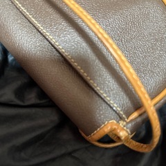 ビンテージ トラサルディミニポシェットの画像