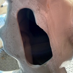 【引取限定】 1点限り!! 犬の置物 ダルメシアン オス 全高71cm 配送応相談!!の画像