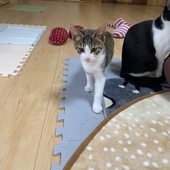 小柄ですが元気な男の子です