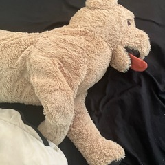 犬のぬいぐるみと牡蠣のクッションのセット の画像