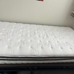 ニトリ　Nスリープ　ハード　　 H3-CRの画像