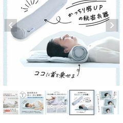 ネルチャー今治枕の画像