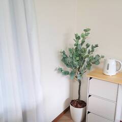 ★小規模★障がい者グループホーム★女性棟★の世話人／夜間支援員の画像