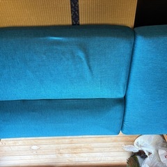 ソファーベッドの画像