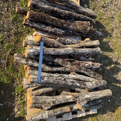 しいたけ原木の画像